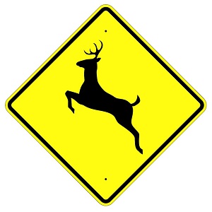 Deer Crossing