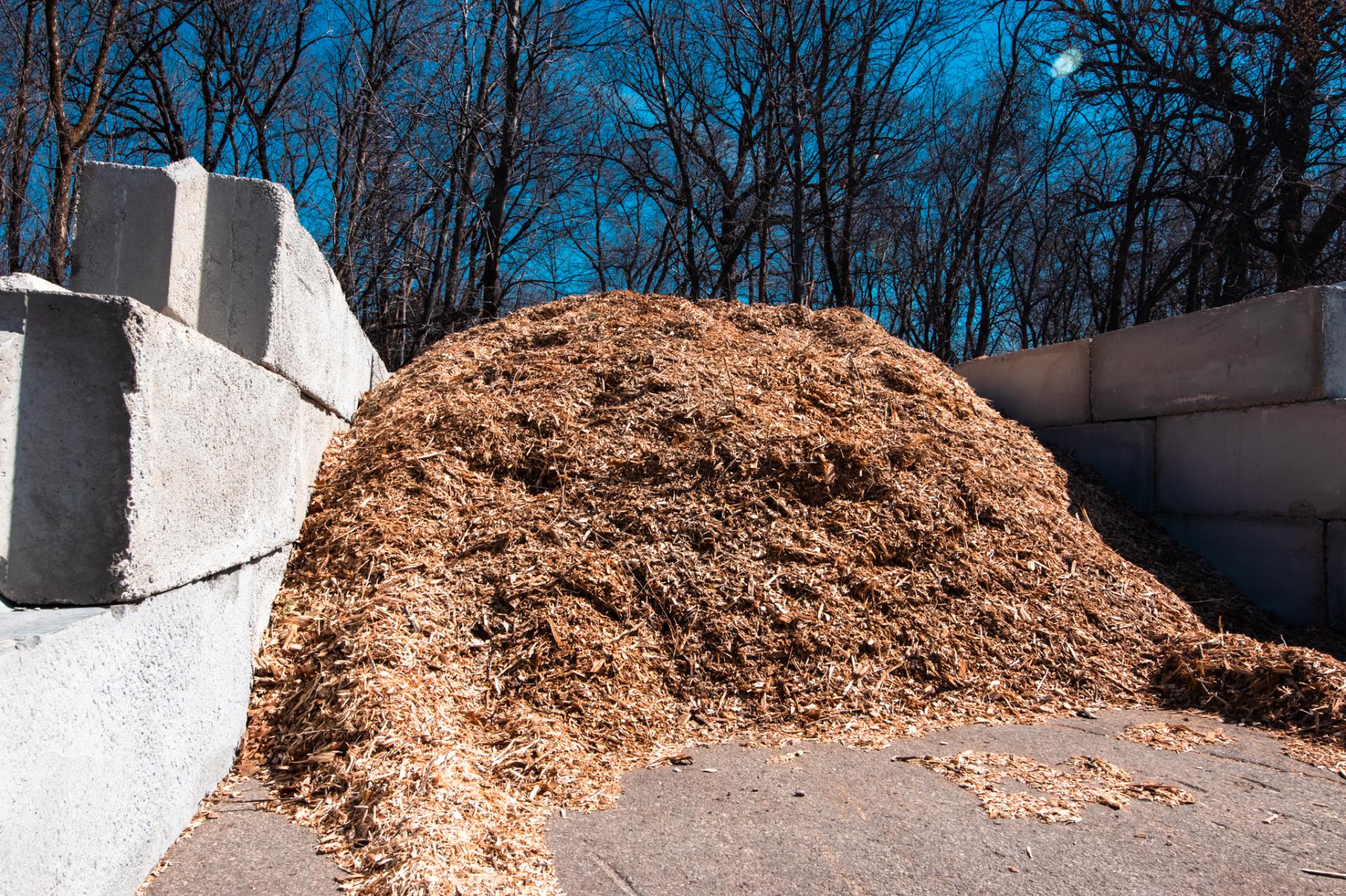 Yard Waste_2024-2_Small